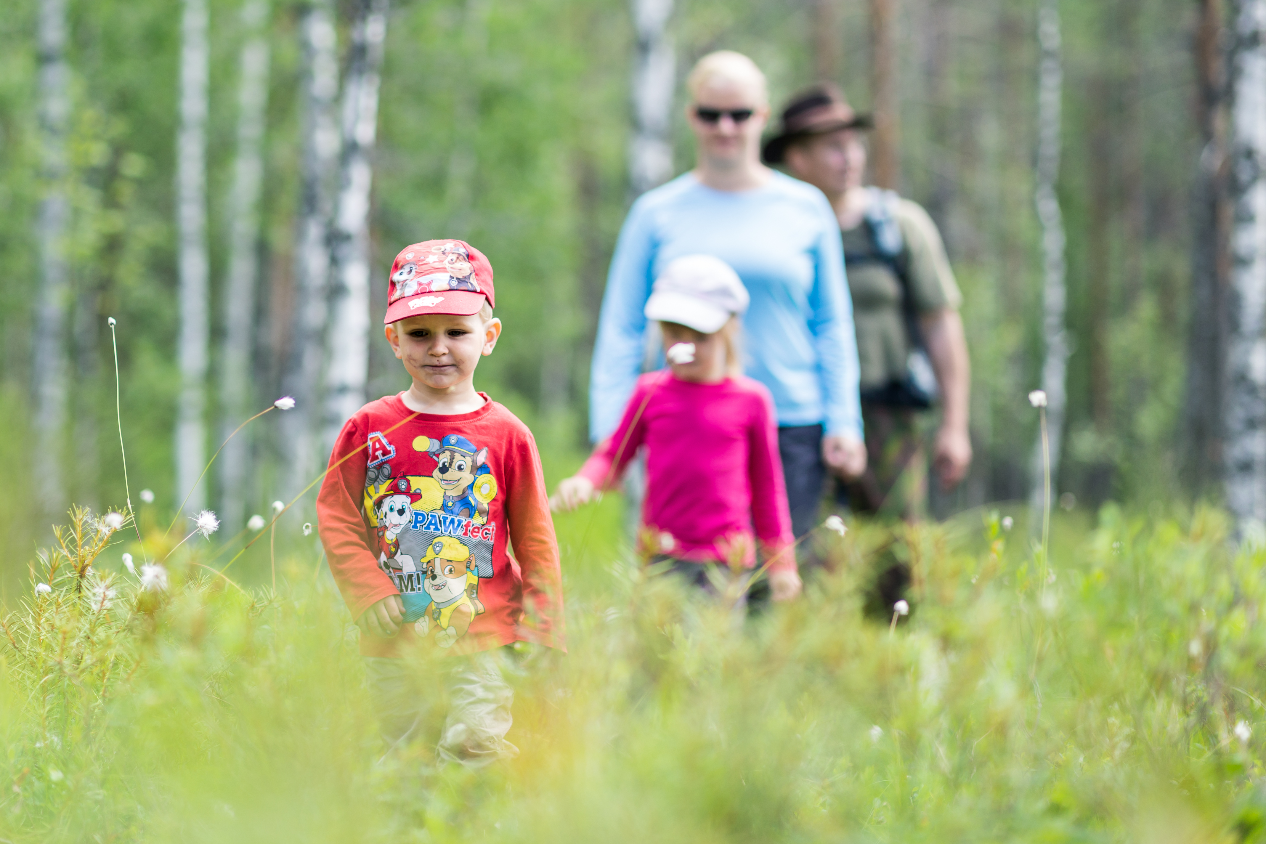 Perhe metsässä